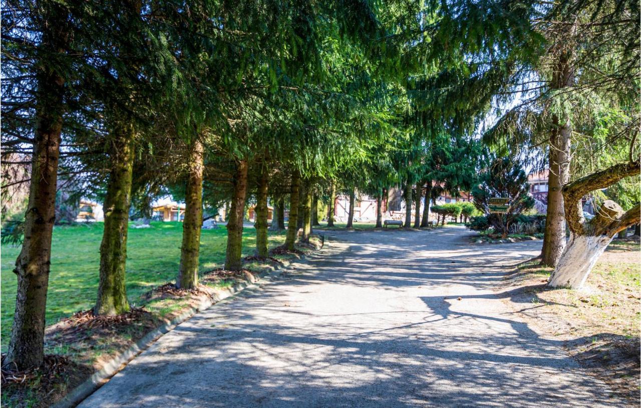 Nice home in Wilczeta with 1 Bedrooms, WiFi&Outdoor swimming pool Buitenkant foto